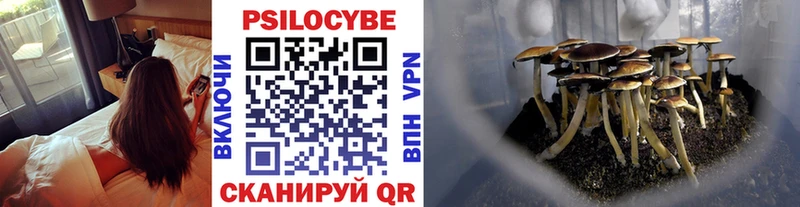 Галлюциногенные грибы Psilocybe  Купить закладки  Ивантеевка 